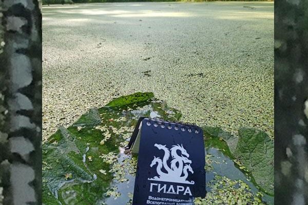 Ссылка для входа на сайт kraken