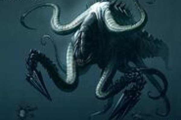Kraken com зеркало