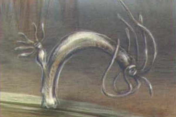 Kraken официальный сайт ссылка через tor
