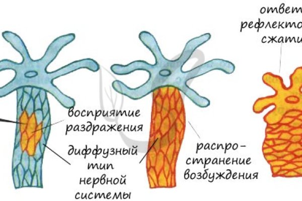 Кракен ссылка зайти