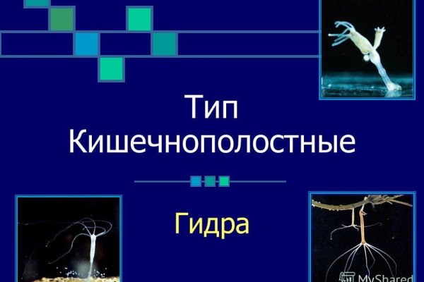 Ссылка кракен cc