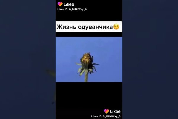 Гидра альтернатива