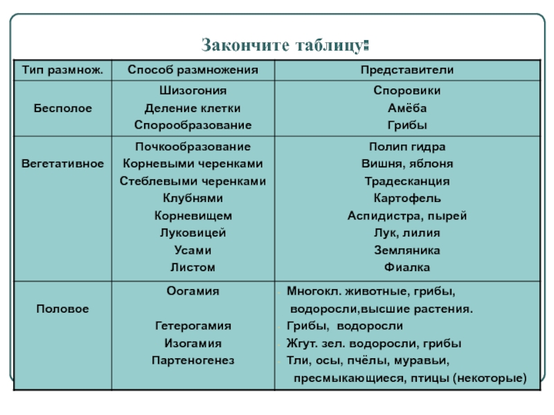 Кракен почему не заходит
