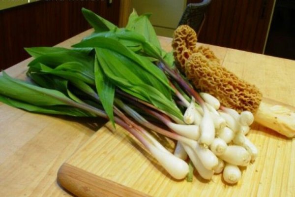 Кракен даркнет рабочая ссылка