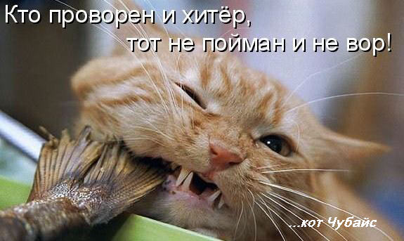 Как подключиться к даркнету