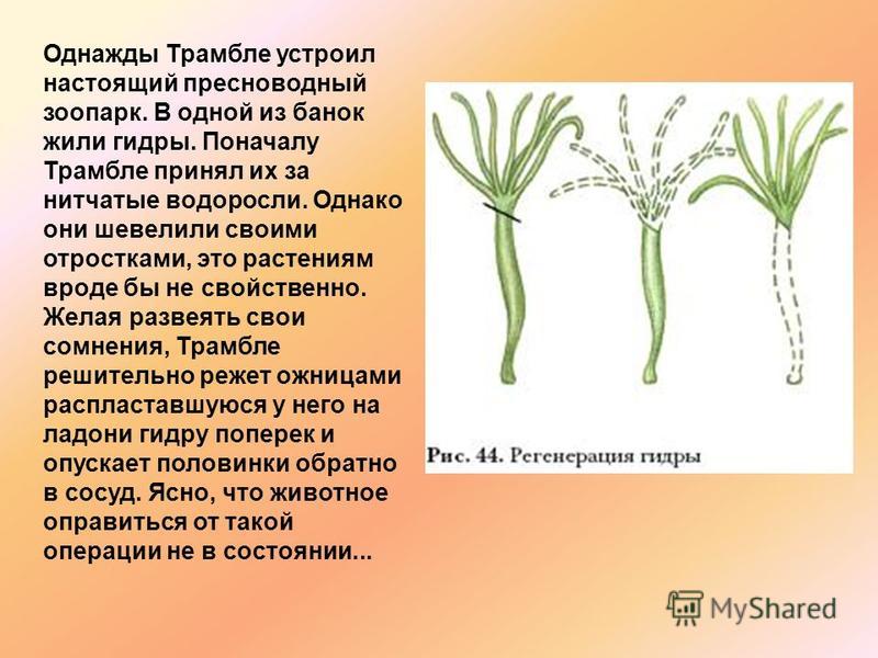 Кракен тор gigageek ru
