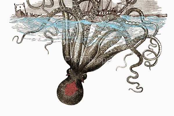 Kraken площадка