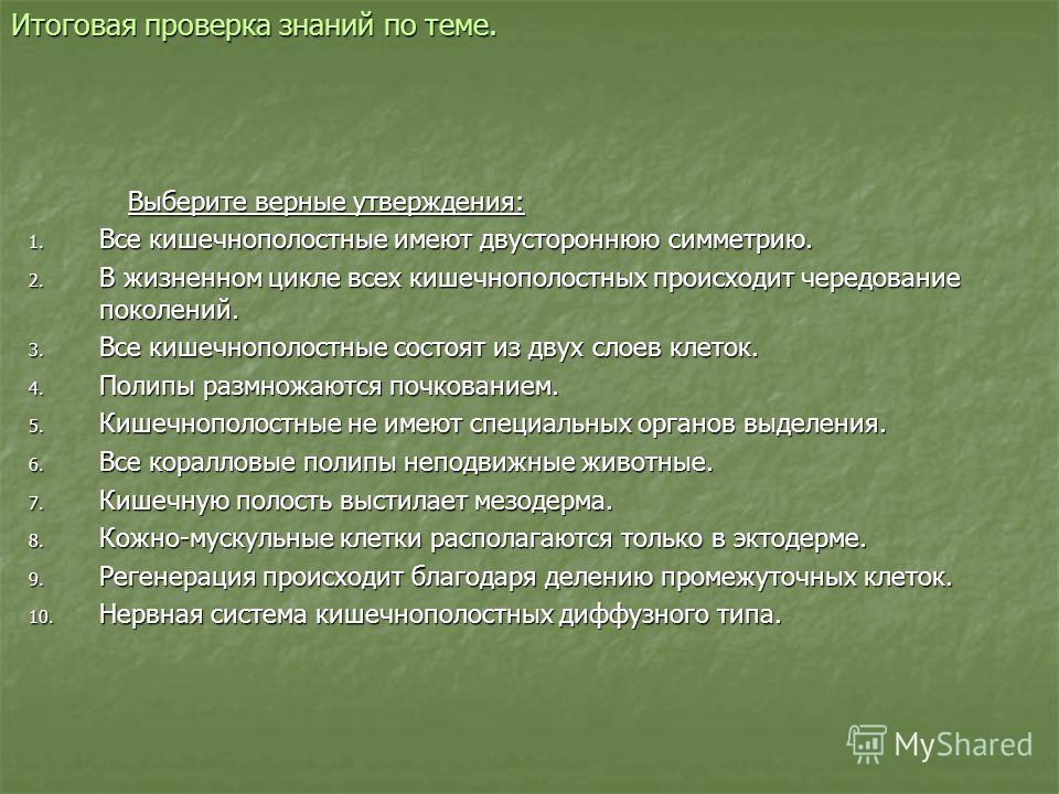 Кракен мп